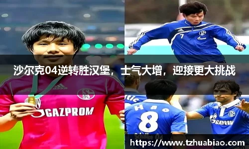 星空·综合体育官方网站