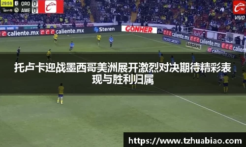 星空·综合体育官方网站