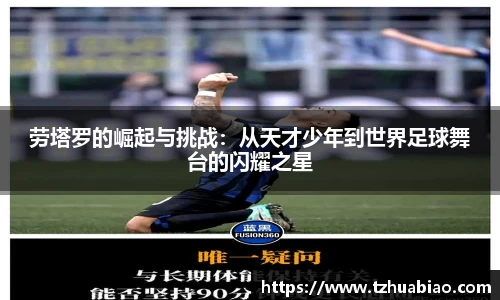 星空·综合体育官方网站