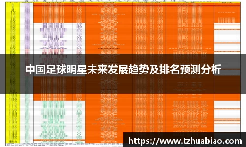 星空·综合体育中国官网