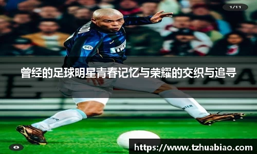 星空·综合体育官方网站